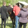 Rajd Mszana Górna 2015